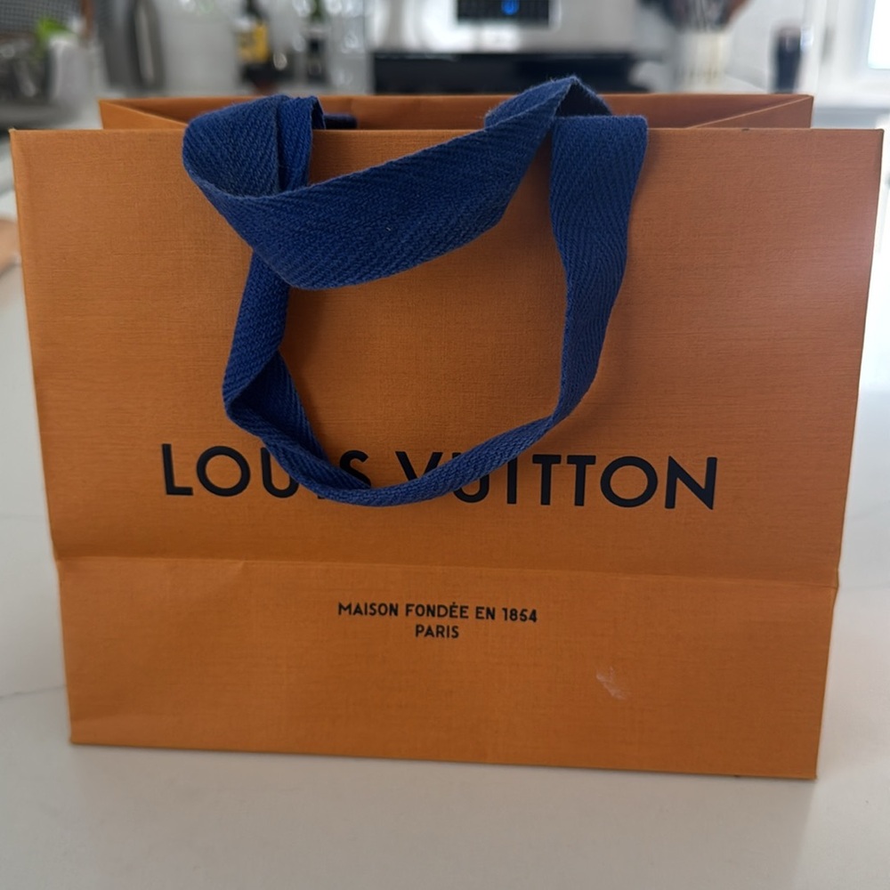 Louis Vuitton Small Box, Dust Bag, and Carrier Bag - Picture 7 of 7